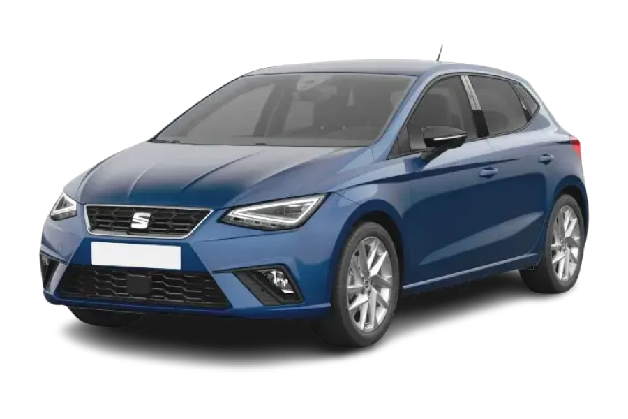 Seat Ibiza - 1.0 TSI 115 Anniversary Limited Edition 5dr DSG